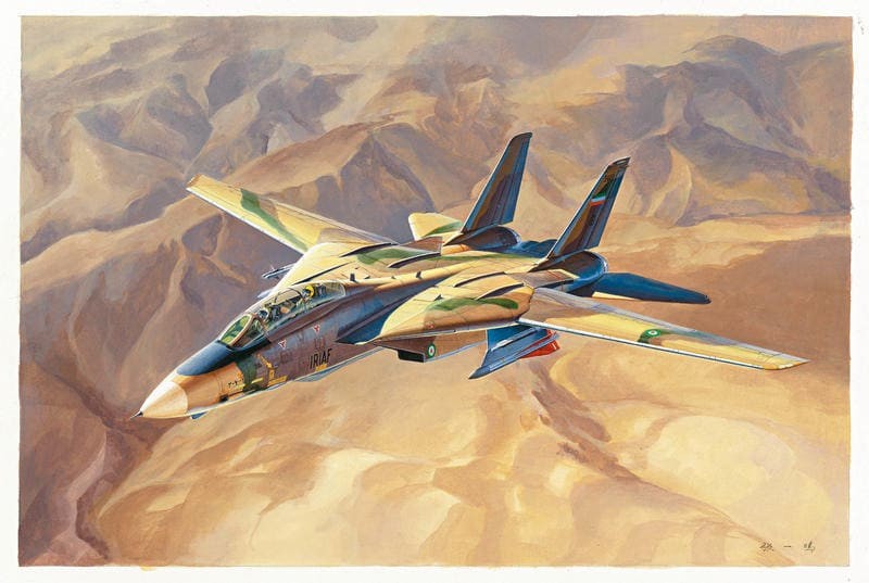 Maquette Hobby Boss Grumman F-14A Tomcat Tomcat IRIAF (AF iranien)- 1/
