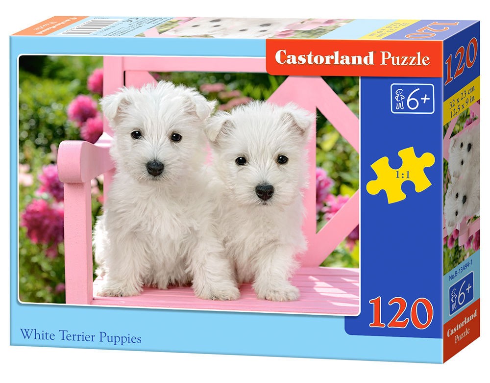  Castorland White Terrier Chiots, Puzzle 120 Teiles- - Puzzle