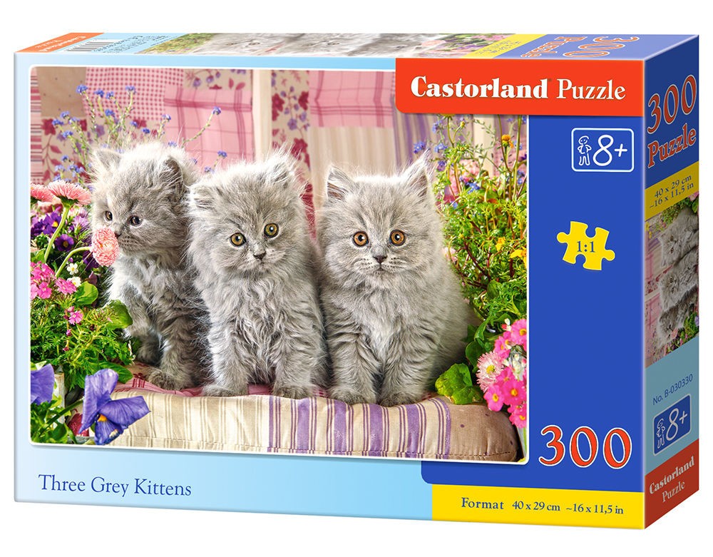  Castorland Trois chatons gris, Puzzle 300 pièces- - Puzzle