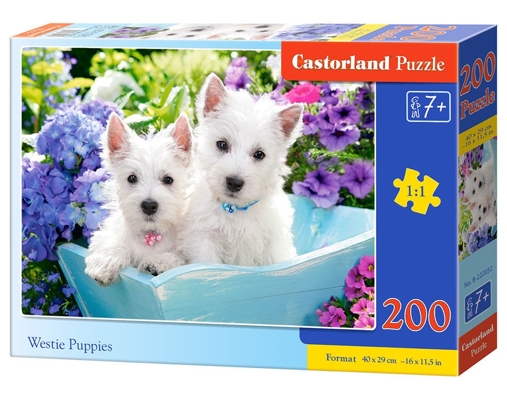  Castorland Westie Puppies, Puzzle 200 Teiles- - Puzzle