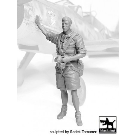 Figurine Pilote de la Luftwaffe Afrique N & deg; 3