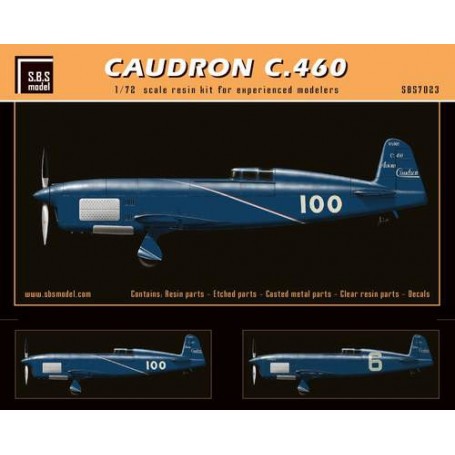 Maquette avion Caudron C.460