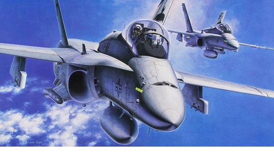 Maquette Hasegawa F-18D HORNET NIGHT ATTACK 1/48- 1/48 - Maquette d
