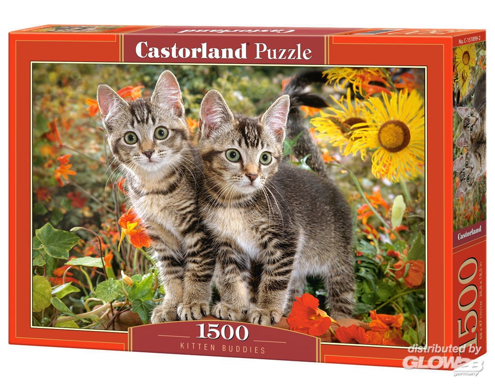  Castorland Kitten Buddies, puzzle de 1500 pièces- - Puzzle