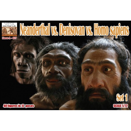 Figurine Néandertal contre Denisovan contre Homo sapiens Set 1