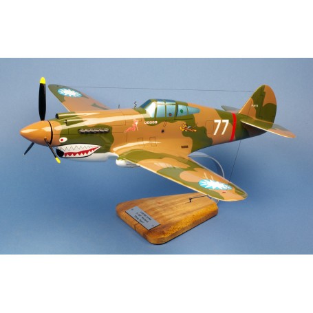 Miniature Curtiss P-40B Hawk